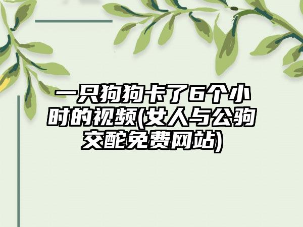 一只狗狗卡了6个小时的视频(女人与公驹交酡免费网站)
