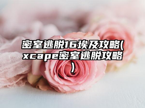 密室逃脱16埃及攻略(xcape密室逃脱攻略)