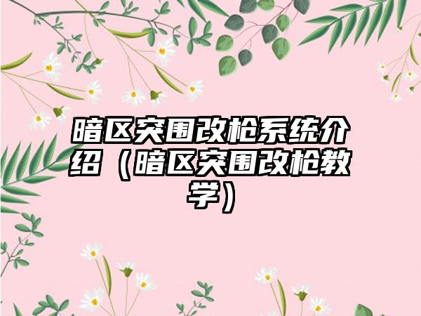 暗区突围改枪系统介绍（暗区突围改枪教学）