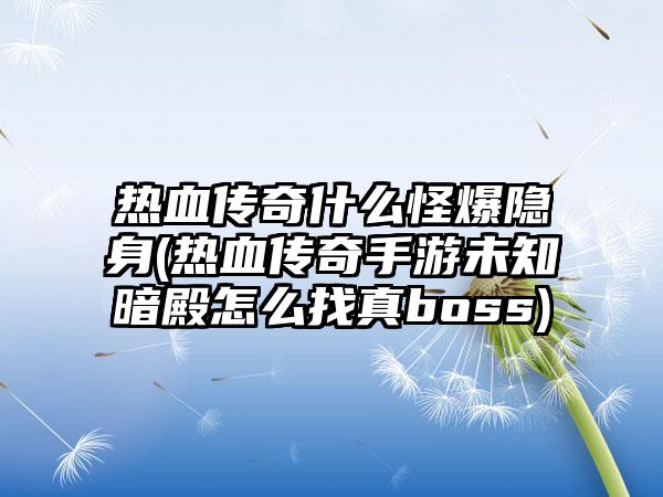 热血传奇什么怪爆隐身(热血传奇手游未知暗殿怎么找真boss)