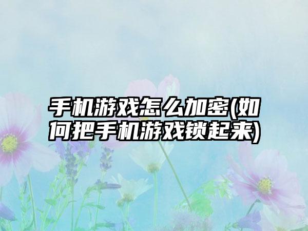 手机游戏怎么加密(如何把手机游戏锁起来)