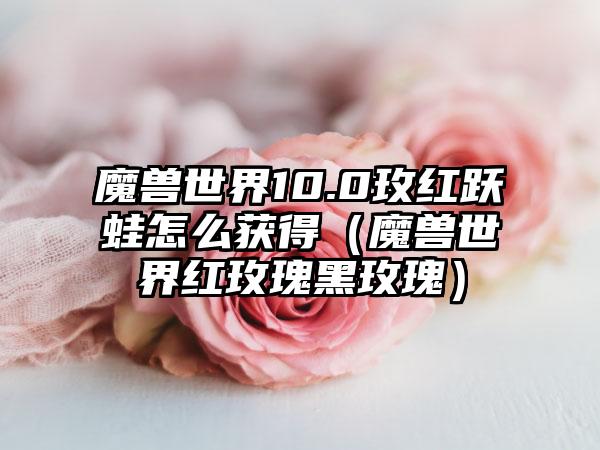 魔兽世界10.0玫红跃蛙怎么获得（魔兽世界红玫瑰黑玫瑰）
