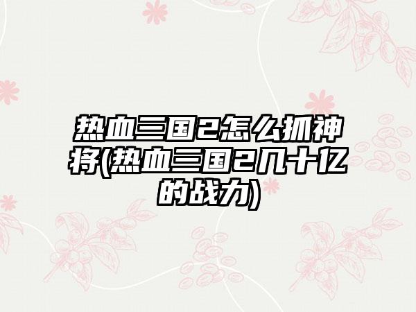 热血三国2怎么抓神将(热血三国2几十亿的战力)