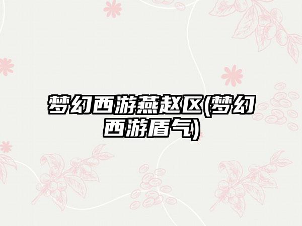 梦幻西游燕赵区(梦幻西游盾气)