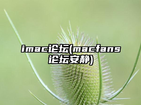 imac论坛(macfans论坛安静)