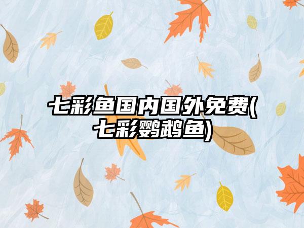 七彩鱼国内国外免费(七彩鹦鹉鱼)