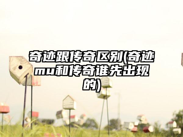 奇迹跟传奇区别(奇迹mu和传奇谁先出现的)