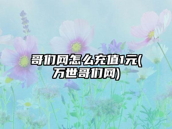 哥们网怎么充值1元(万世哥们网)