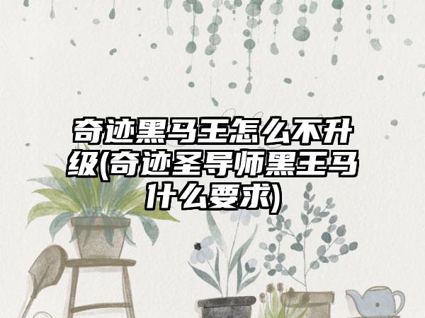 奇迹黑马王怎么不升级(奇迹圣导师黑王马什么要求)