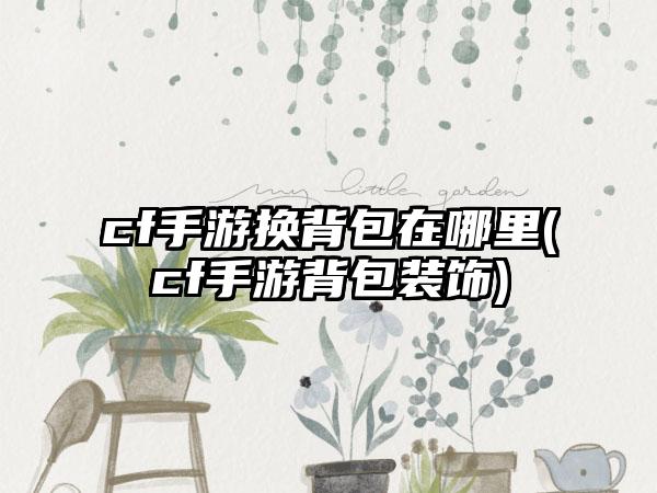 cf手游换背包在哪里(cf手游背包装饰)