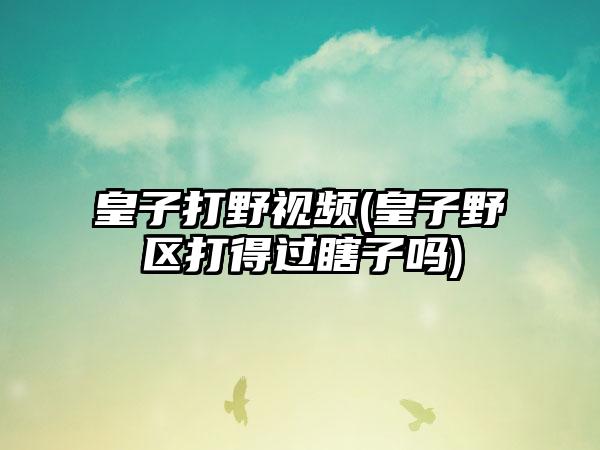 皇子打野视频(皇子野区打得过瞎子吗)