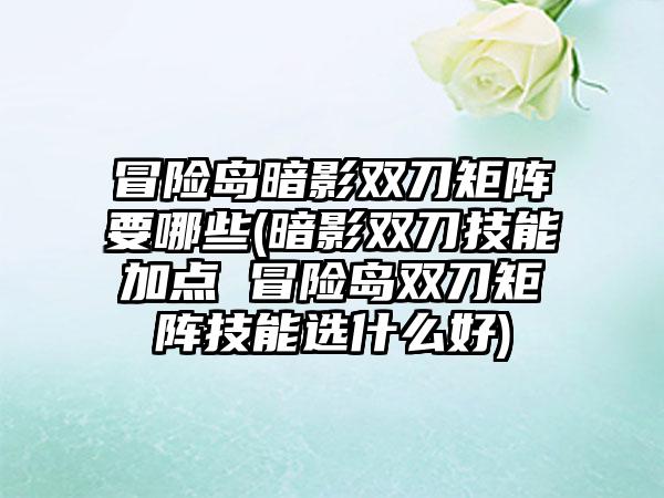 冒险岛暗影双刀矩阵要哪些(暗影双刀技能加点 冒险岛双刀矩阵技能选什么好)