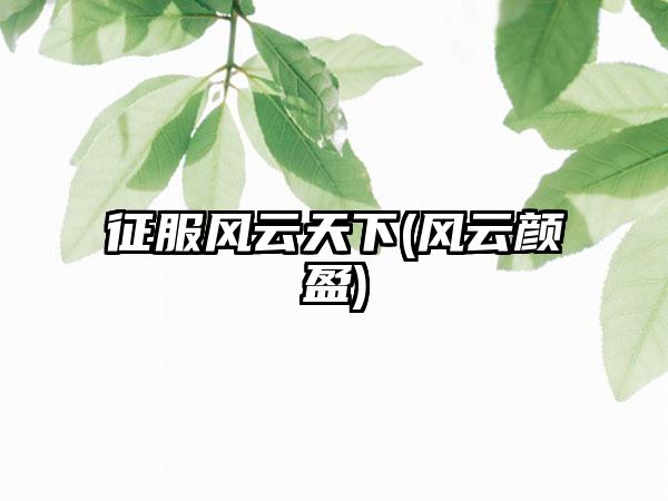 征服风云天下(风云颜盈)