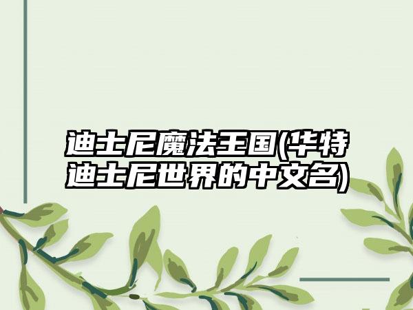 迪士尼魔法王国(华特迪士尼世界的中文名)