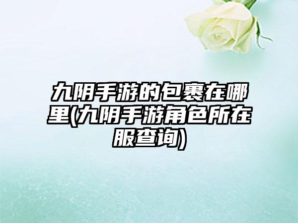 九阴手游的包裹在哪里(九阴手游角色所在服查询)