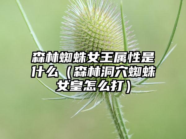 森林蜘蛛女王属性是什么（森林洞穴蜘蛛女皇怎么打）