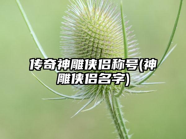 传奇神雕侠侣称号(神雕侠侣名字)