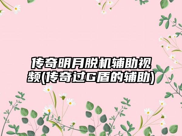 传奇明月脱机辅助视频(传奇过G盾的辅助)