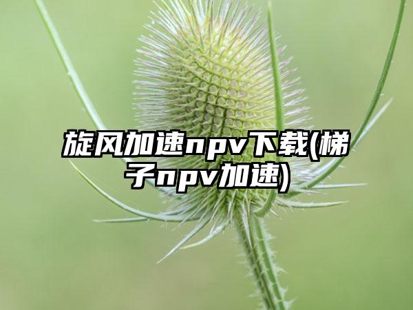 旋风加速npv下载(梯子npv加速)