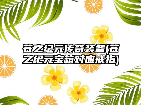 苍之纪元传奇装备(苍之纪元宝箱对应戒指)