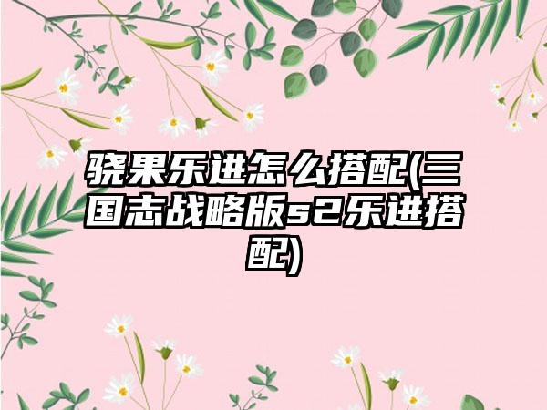 骁果乐进怎么搭配(三国志战略版s2乐进搭配)