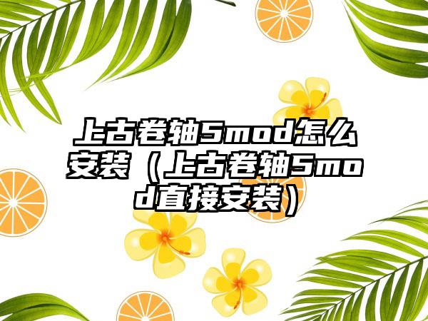 上古卷轴5mod怎么安装（上古卷轴5mod直接安装）