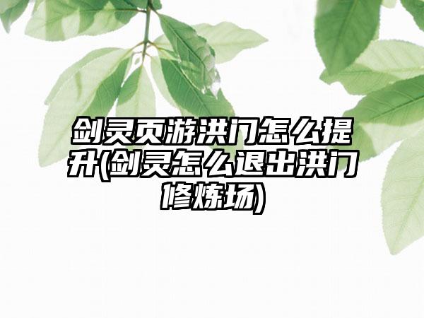 剑灵页游洪门怎么提升(剑灵怎么退出洪门修炼场)