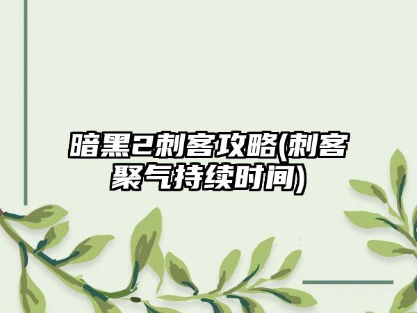 暗黑2刺客攻略(刺客聚气持续时间)