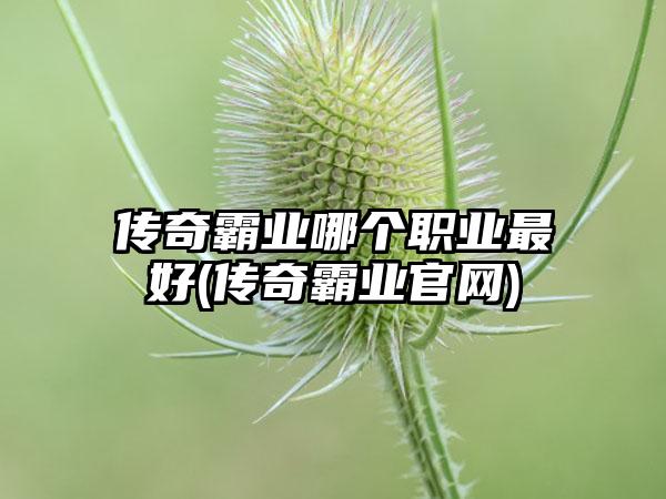 传奇霸业哪个职业最好(传奇霸业官网)