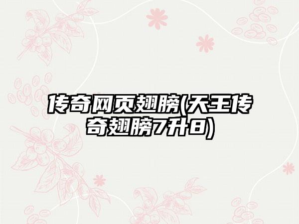 传奇网页翅膀(天王传奇翅膀7升8)