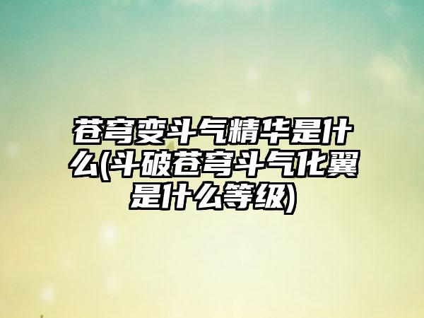 苍穹变斗气精华是什么(斗破苍穹斗气化翼是什么等级)