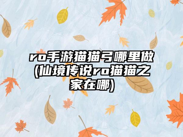 ro手游猫猫弓哪里做(仙境传说ro猫猫之家在哪)