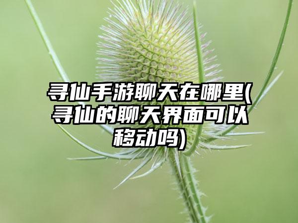 寻仙手游聊天在哪里(寻仙的聊天界面可以移动吗)