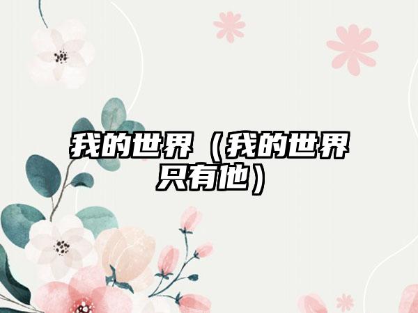 我的世界（我的世界只有他）
