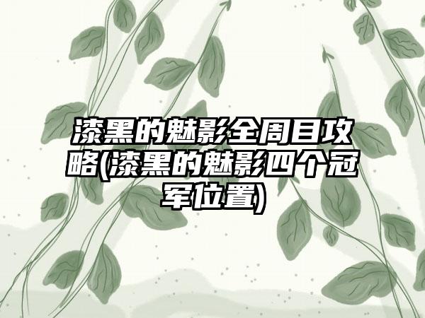漆黑的魅影全周目攻略(漆黑的魅影四个冠军位置)