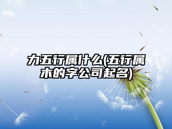 力五行属什么(五行属木的字公司起名)