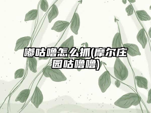嘟咕噜怎么抓(摩尔庄园咕噜噜)
