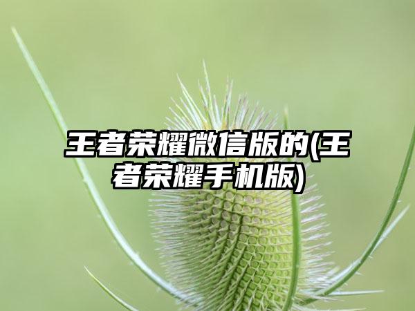 王者荣耀微信版的(王者荣耀手机版)