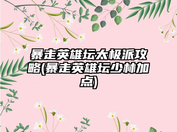 暴走英雄坛太极派攻略(暴走英雄坛少林加点)