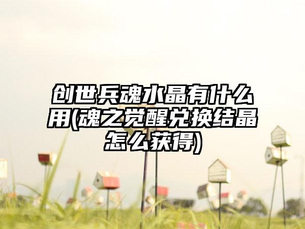 创世兵魂水晶有什么用(魂之觉醒兑换结晶怎么获得)