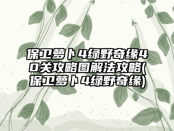 保卫萝卜4绿野奇缘40关攻略图解法攻略(保卫萝卜4绿野奇缘)