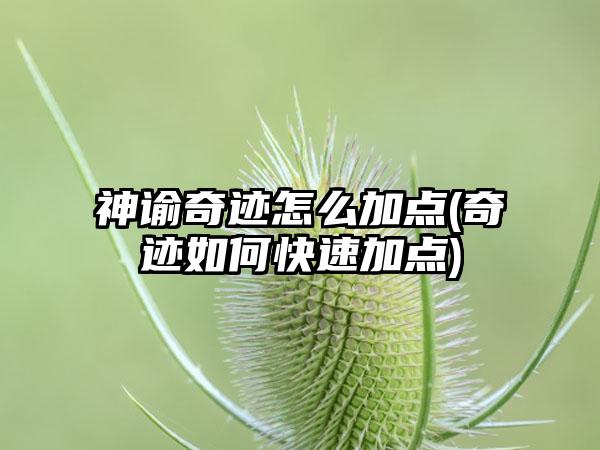 神谕奇迹怎么加点(奇迹如何快速加点)