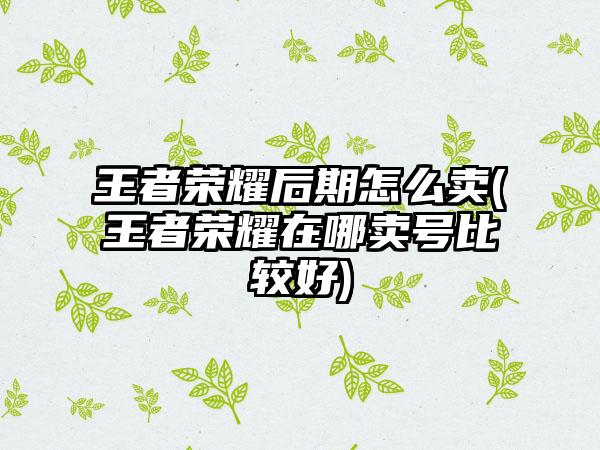 王者荣耀后期怎么卖(王者荣耀在哪卖号比较好)