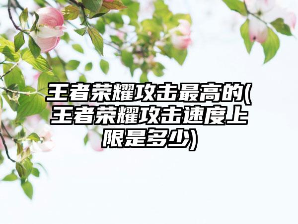 王者荣耀攻击最高的(王者荣耀攻击速度上限是多少)
