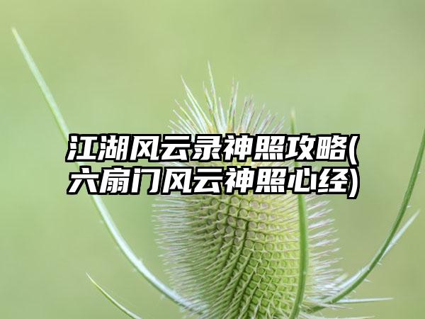 江湖风云录神照攻略(六扇门风云神照心经)