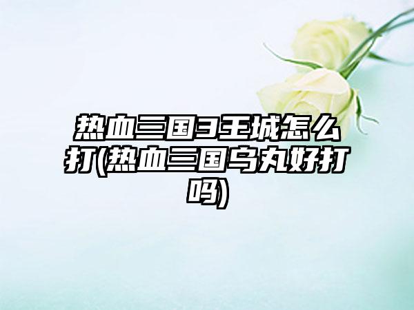 热血三国3王城怎么打(热血三国乌丸好打吗)