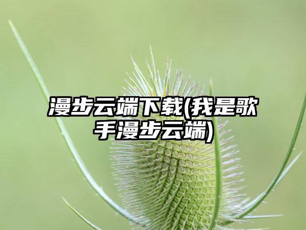 漫步云端下载(我是歌手漫步云端)