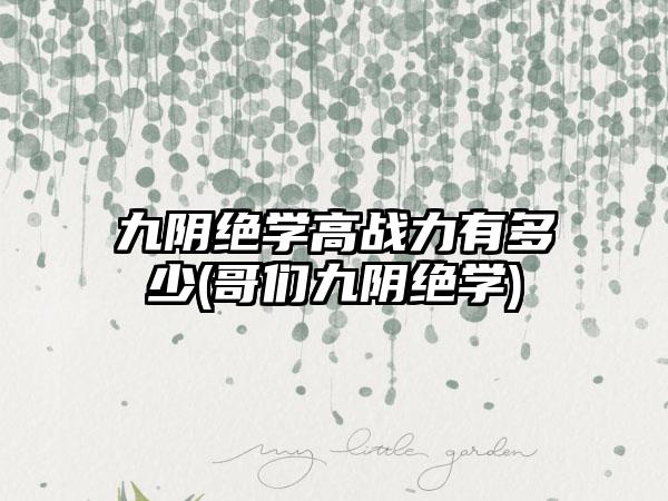 九阴绝学高战力有多少(哥们九阴绝学)