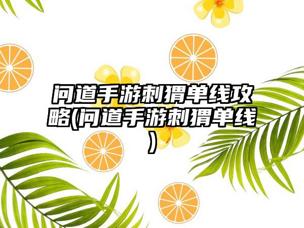 问道手游刺猬单线攻略(问道手游刺猬单线)