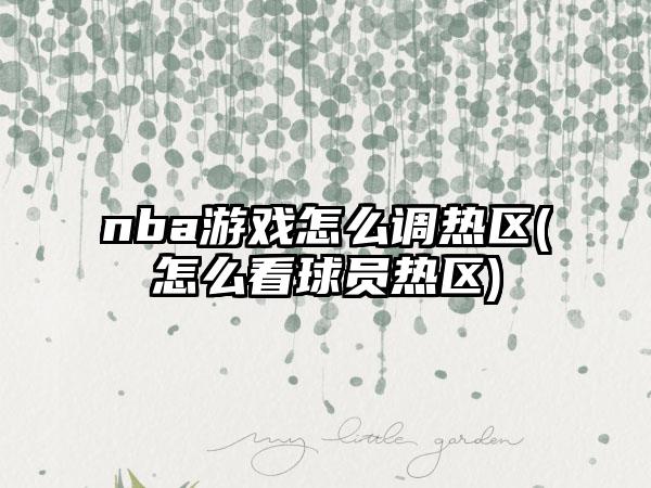 nba游戏怎么调热区(怎么看球员热区)